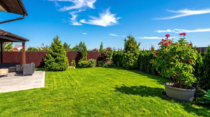 artificial turf installation services
