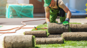 turf installation near me