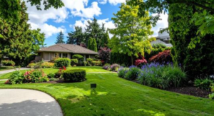 landscape construction services