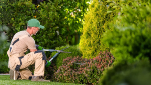 garden landscaping services Queensland