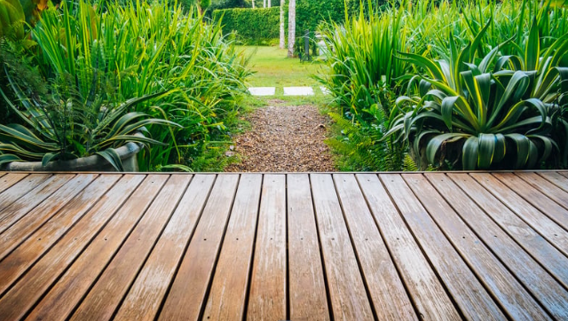 how to design a tropical backyard