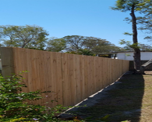 Tropical garden design and planting in Capalaba Queensland